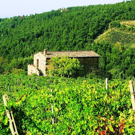 Agriturismo Piemaggino Castellina in Chianti Exterior photo