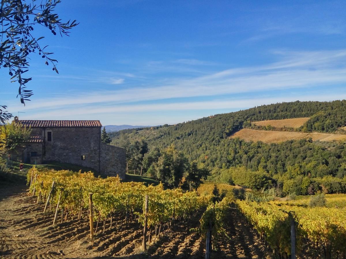 Agriturismo Piemaggino Castellina in Chianti Exterior photo